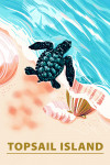 Topsail Island, North Carolina - Courageous Explorer Collection - Turtle & Shells, Safely to Sea