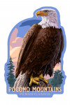 Pocono Mountains, Pennsylvania - Painterly - Bald Eagle - Contour