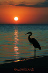 Kiawah Island, South Carolina - Photography - Heron & Sunset