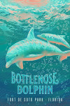 Fort De Soto Park, Florida - Fluid Linework - Bottlenose Dolphin