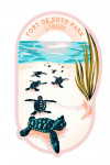 Fort De Soto Park, Florida - Courageous Explorer Collection - Turtles on Beach, Pause Respect Protect - Contour