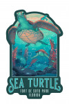 Fort De Soto Park, Florida - Fluid Linework - Sea Turtle - Contour