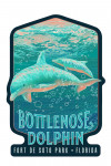 Fort De Soto Park, Florida - Fluid Linework - Bottlenose Dolphin - Contour