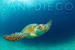 San Diego, California - Photography - Sea Turtle Swimming