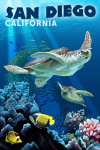 San Diego, California - Sea Turtle Swimming