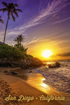 San Diego, California - Photography - Sunset & Palm