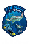 San Diego, California - Sea Turtle Swimming - Contour