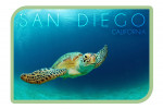 San Diego, California - Photography - Sea Turtle Swimming - Contour