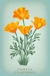Fairfax, California - Vintage Flora - California Poppy