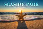 Seaside Park, New Jersey - Photography - Starfish on Beach