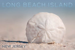 Long Beach Island, New Jersey - Photography - Sand Dollar on Beach
