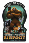 Lake Tahoe, California - This Forest is Protected by Bigfoot - Contour