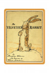 Vintage Book Cover - The Velveteen Rabbit - Contour