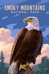 Smoky Mountains National Park - Painterly - Bald Eagle