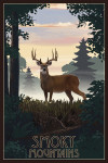 Smoky Mountains - Painterly - Deer & Sunrise