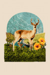 Retro Collage - Whitetail Deer