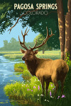 Pagosa Springs, Colorado - Painterly - Roosevelt Elk