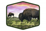 North Dakota - Photography - Bison & Sunset - Contour