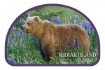 Kodiak Island, Alaska - Photography - Grizzly Bear & Wildflowers - James T. Jones - Contour