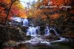 Hiawassee, Georgia - Photography - Waterfall & Autumn Colors