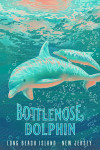 Long Beach Island, New Jersey - Fluid Linework - Bottlenose Dolphin
