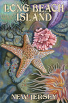 Long Beach Island, New Jersey - Tidepools