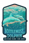 Long Beach Island, New Jersey - Fluid Linework - Bottlenose Dolphin - Contour