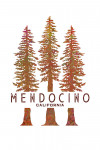 Mendocino, California - Redwoods