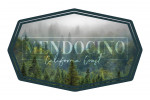 Mendocino, California - Photography - Fog & Forest - Contour