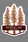 Mendocino, California - Redwoods - Contour