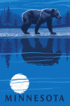 Minnesota -  Bear at Night