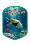 Kauaʻi, Hawaii - Painterly - Humuhumunukunukuapua'a - Contour