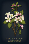 Little Rock, Arkansas - Vintage Flora Noir - Apple Blossom