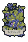 Hammonton, New Jersey - Vintage Flora Noir - Blueberry - Contour