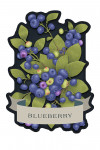 Vintage Flora Noir - Blueberry - Contour