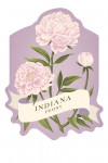 Indiana - Vintage Flora - Peony - Contour