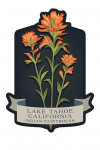 Lake Tahoe, California - Vintage Flora Noir - Indian Paintbrush - Contour