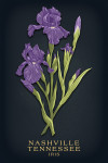 Nashville, Tennessee - Vintage Flora Noir - Iris