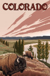Colorado - Painterly - Bison & River