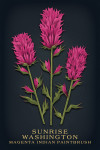Sunrise, Washington - Vintage Flora Noir - Magenta Indian Paintbrush