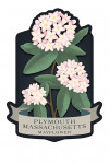 Plymouth, Massachusetts - Vintage Flora Noir - Mayflower - Contour