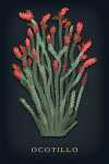 Vintage Flora Noir - Ocotillo