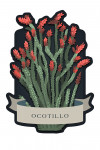 Vintage Flora Noir - Ocotillo - Contour