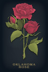 Vintage Flora Noir - Oklahoma Rose