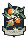 Tallahassee, Florida - Vintage Flora Noir - Orange Blossom - Contour