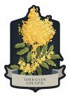 Vintage Flora Noir - Oregon Grape - Contour