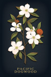 Vintage Flora Noir - Pacific Dogwood
