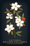 Victoria, British Columbia - Vintage Flora Noir - Pacific Dogwood