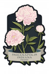 Indianapolis, Indiana - Vintage Flora Noir - Peony - Contour