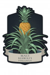 Maui, Hawai'i - Vintage Flora Noir - Pineapple - Contour